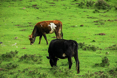 红桃38.47隐藏人口163：神秘坐标引燃极速狂飙，废弃工厂暗藏百人社区与终极座驾