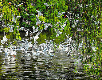 黄色软件3:3:极速涂鸦,街头竞技,创意赛道艺术大师-3