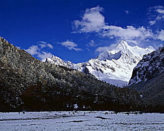 公侵犯一区二区三区：赛道分区压制，竞速心理博弈的艺术