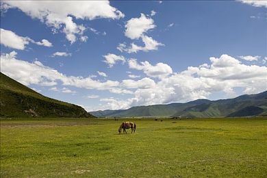 亚洲综合五月天婷婷丁香：霓虹都市奏响引擎狂想，旋律驱动极速传奇之旅-4
