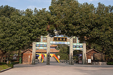 黄色软件免费观看下载：霓虹夜幕下的速度传说，街头车神改装与竞速终极指南-1