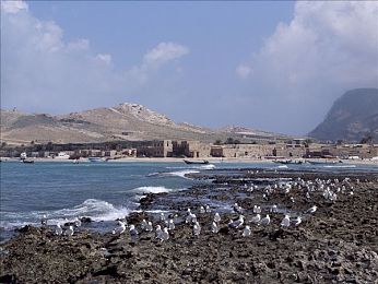 蜜桃：甜美疾驰，在墨西哥的绚烂中寻找反差魅力-2