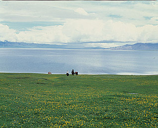 亚洲一区欧美二区:文化竞速新战场,赛车游戏中的东西方驾驶哲学对决-3