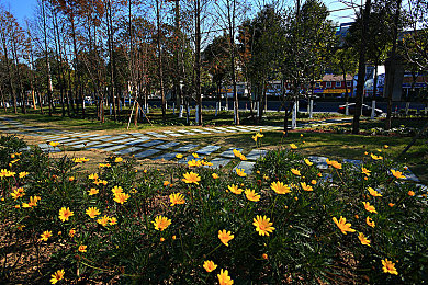 红桃m8n90隐藏人口：深夜赛道之谜，揭秘极速代号中未公开的神秘车手