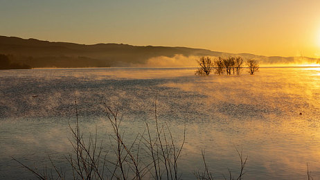 婷婷五月天丁香五月：风驰墨西哥，驶入繁花与自由的虚拟画卷-3