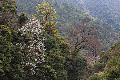 亚成人：驾驭顶级超跑，探索永不止息的竞速旅程-3