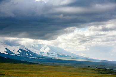 男女干的网站：双人协同改装新玩法，街头极速掀起团队竞速革命