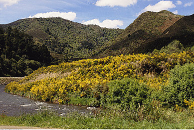 东京热搜app下载安装最新版本20:霓虹街巷,极速暗涌,虚实交织的都市竞速传说-4