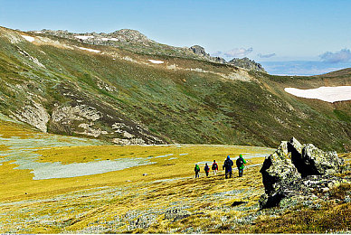 含羞草实验室2025：神经回馈，人车合一的生物节律赛道-3