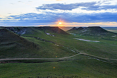 黄色appopp：极速幻影，视觉陷阱与理性突破的竞速交响-2