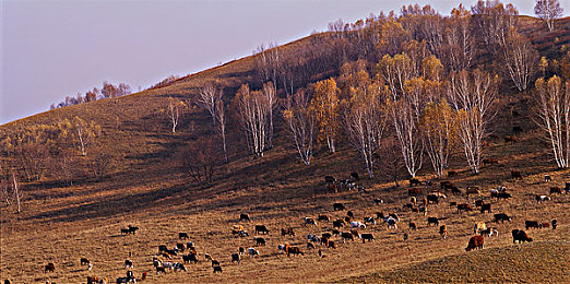 男人插女人的软件:数据驱动下的虚拟竞速,性别对决中的公平引擎-3