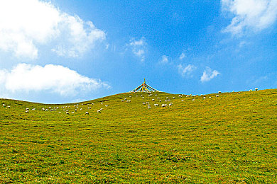 不良APP下载：暗影引擎驱动的都市竞速，风险与掌控的终极博弈-3