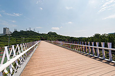 火辣辣福利：极速改装，霓虹都市的终极狂飙传说