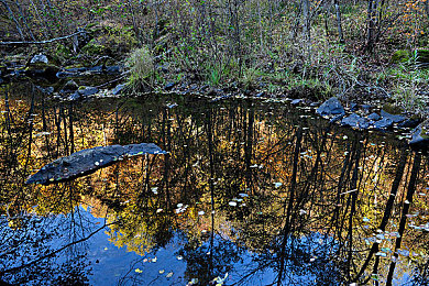 机机对机手机2023免费版下载安装安卓手机：未来赛车竞技新作登陆安卓，免费畅享赛博狂飙与实时对战