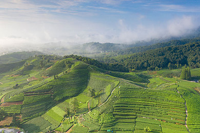 少妇xxX:昼夜双行,油门与摇篮曲的协奏之旅-4