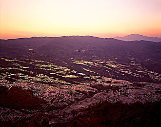 男人和女人软件:极速定制代号G发布,刚柔并济的驾驶风格调校系统革新竞速体验-2