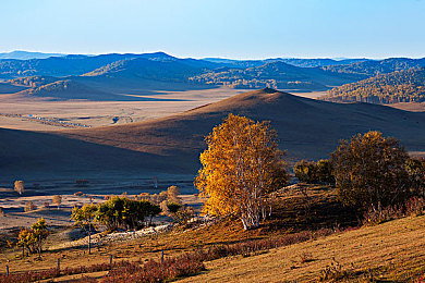 99热只有这里有:极限竞速地平线5全新版本上线,墨西哥开放世界竞速指南与实战攻略全解析-2