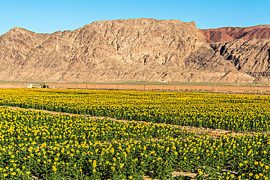 男人和女人在一起差差的软件：竞速游戏新趋势，差异化体验共创驾驶乐趣