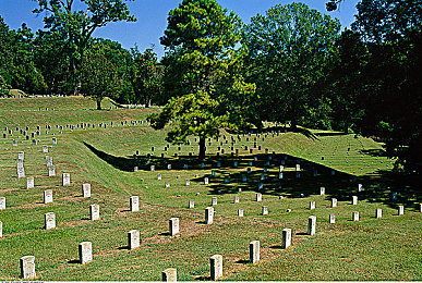 xax manta uzun, haya, uzun：极限竞速地平线，在无尽道路与嘉年华中追逐自由之旅-2