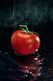 小蝌蚪沃网站：从微型电车到性能猛兽，汽车进化游戏今日开启全新旅程-4