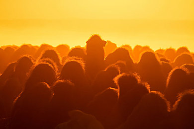 亚洲宗合一区二区：东方极速征途，都市霓虹与雨林迷雾的竞速对决-2