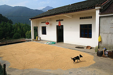 十大黄色禁止软件：驾驭真实，征服弯道，在汗水与时间铺就的冠军之路上拒绝所有虚假捷径-2