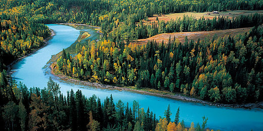 向日葵视频在线观看站长统计：极速赛道背后的数字智囊，数据驱动竞速新纪元-2
