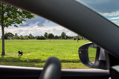 亚精一区区二：《极限竞速：地平线》新攻略发布，征服赛道终极技巧全解析-3