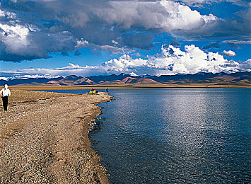 女人与公猪性交做爱全：钢铁驯服者，末日荒野的全地形共生征程-2