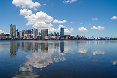 女人和公豬交交30：废土狂飙，艾拉与钢铁战车的三十场生死竞速