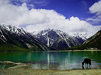 成人Tv：沉浸式驾驶舱革命，极速幻影定义未来竞速新体验-3