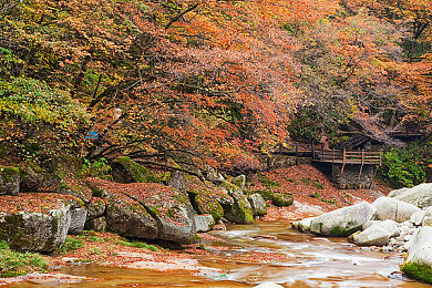 男生女生一差差APP下载:极限竞速地平线五,多元风格共驰墨西哥画卷-2