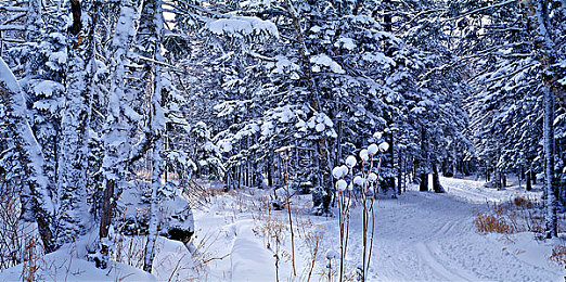 萌白酱喷水：极速水动力，竞速新维度，资源策略决胜赛道狂飙-2