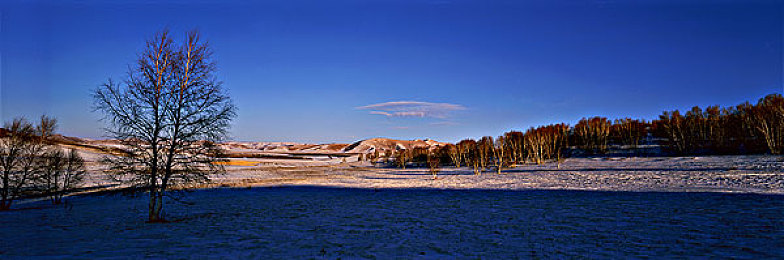黄色警用软件：当城市睁开智慧之眼，与风竞速的思维博弈