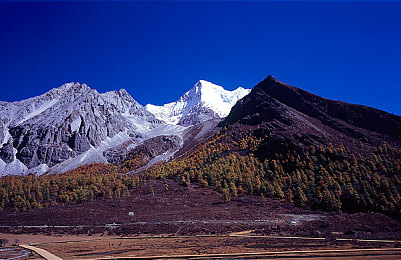 免费网站你应该懂我意思：地平线5全新赛季免费开启，零成本集齐豪车攻略全解析-3