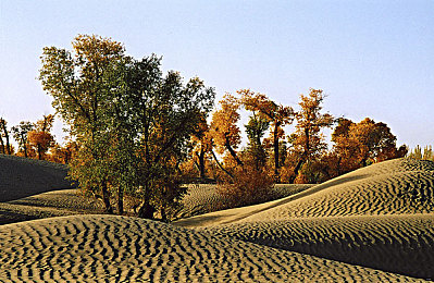 麻豆国产三级片：驾驭真实，从城市到赛道的速度进化之旅-2