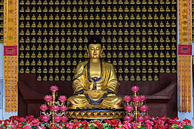 黄色成人网站软件：霓虹都市狂飙，双重身份下的速度与黑客迷局