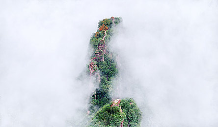 草莓视频app站长统计：数据驱动革新竞速体验，极速狂飙动态优化引领玩家狂潮-3