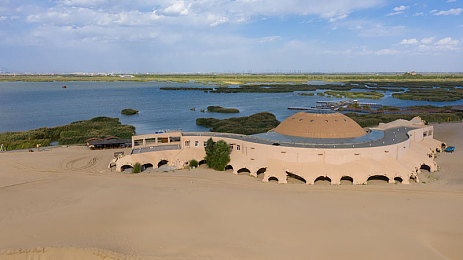 修修漫画免费登录页面在线阅读下载安装不了:漫画风赛车新作登场,街头狂飙带你体验极速快感-2