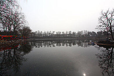 黄色软件免费下载每天无限次oppoⅴ：OPPO平台极速霓虹，无限次免费畅玩都市竞速盛宴