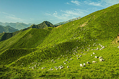 打扑克作剧烈运动：脑力全开油门到底，卡牌与赛道的双重狂想曲-2