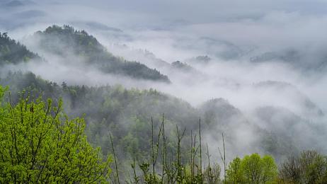 黄色软件app：街头技师，灰色地带的极速调校艺术-3