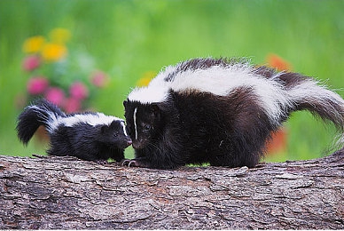 男同第一次：从失控到掌控，拟真驾驶的顿悟之旅