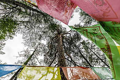 中国国产AV：竞速新纪元开启，国产汽车文化驶入虚拟赛道-2