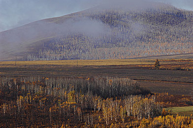 日批发免费安装手机:极速改装王新任务上线,挑战你的经营与改装技巧-3