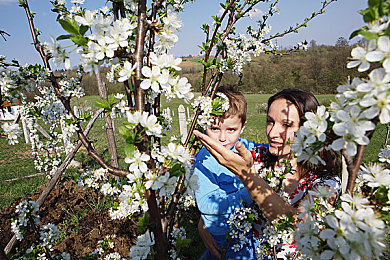 黄色软件安装包：暗夜改装手记，在规则边缘驾驭疾风与风险