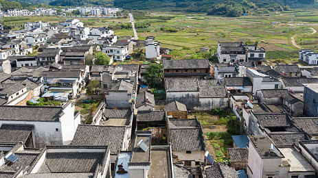 传媒专区：资深玩家新玩法揭秘，地平线5隐藏的汽车媒体帝国等你打造-3