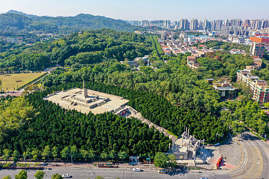 91黑科专区：极限竞速地平线深度改装指南，从调校到实战全面突破-2