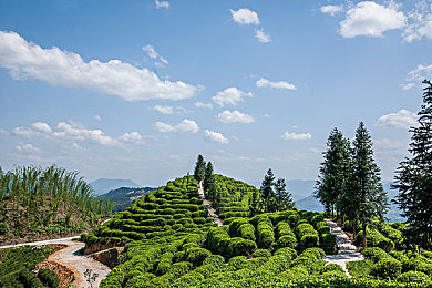 槽逼软件：当物理法则在数字赛道中失控狂欢-2