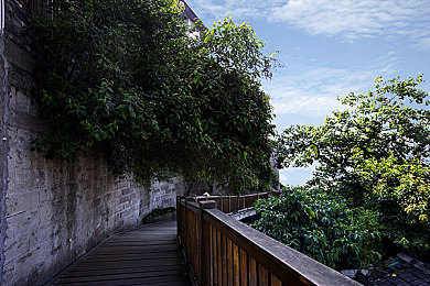 中国的自由剪辑：墨色飞驰，东方速度美学的自定义之旅